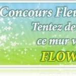 mur vegetal flowall