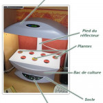 aerogarden descriptions