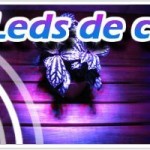 test sur les leds de culture del led growing