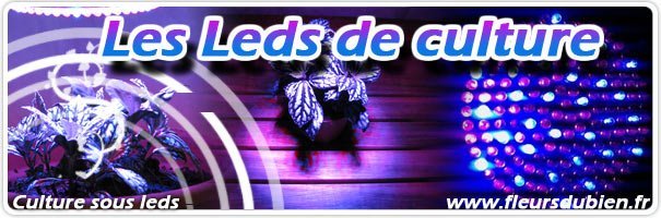 test sur les leds de culture del led growing