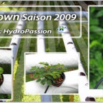 systeme-hydroponique-hydrotown-2009